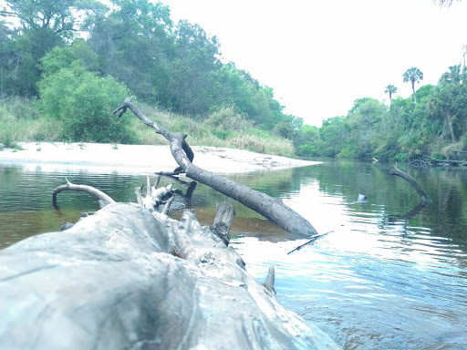 Nature Preserve «Rye Preserve», reviews and photos, 905 Rye Wilderness Trail, Parrish, FL 34219, USA