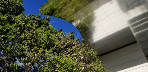 Art Museum «Norton Museum of Art», reviews and photos, 1451 S Olive Ave, West Palm Beach, FL 33401, USA