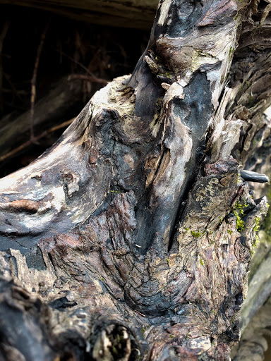 Tourist Attraction «Winsdor Mills Covered Bridge», reviews and photos, 7696 Warner Hollow Rd, Windsor, OH 44099, USA