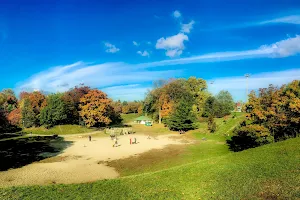 Trinity Bellwoods Park Dog Bowl image