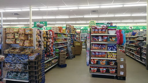 Dollar Store «Dollar Tree», reviews and photos, 7376 McLaughlin Rd, Falcon, CO 80831, USA