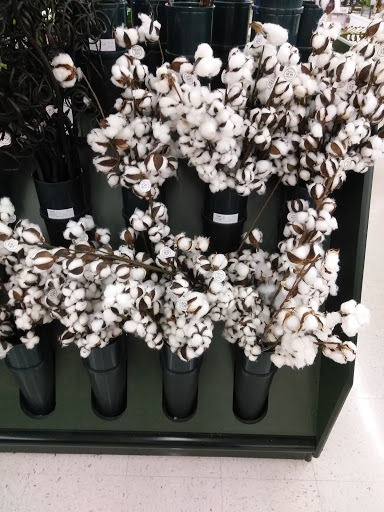 Craft Store «Hobby Lobby», reviews and photos, 2540 S Washington Ave, Titusville, FL 32780, USA