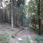 Photo n°1 de l'avis de Peter.c fait le 11/09/2023 à 18:17 sur le  Forsthaus Silbertal à Wachenheim