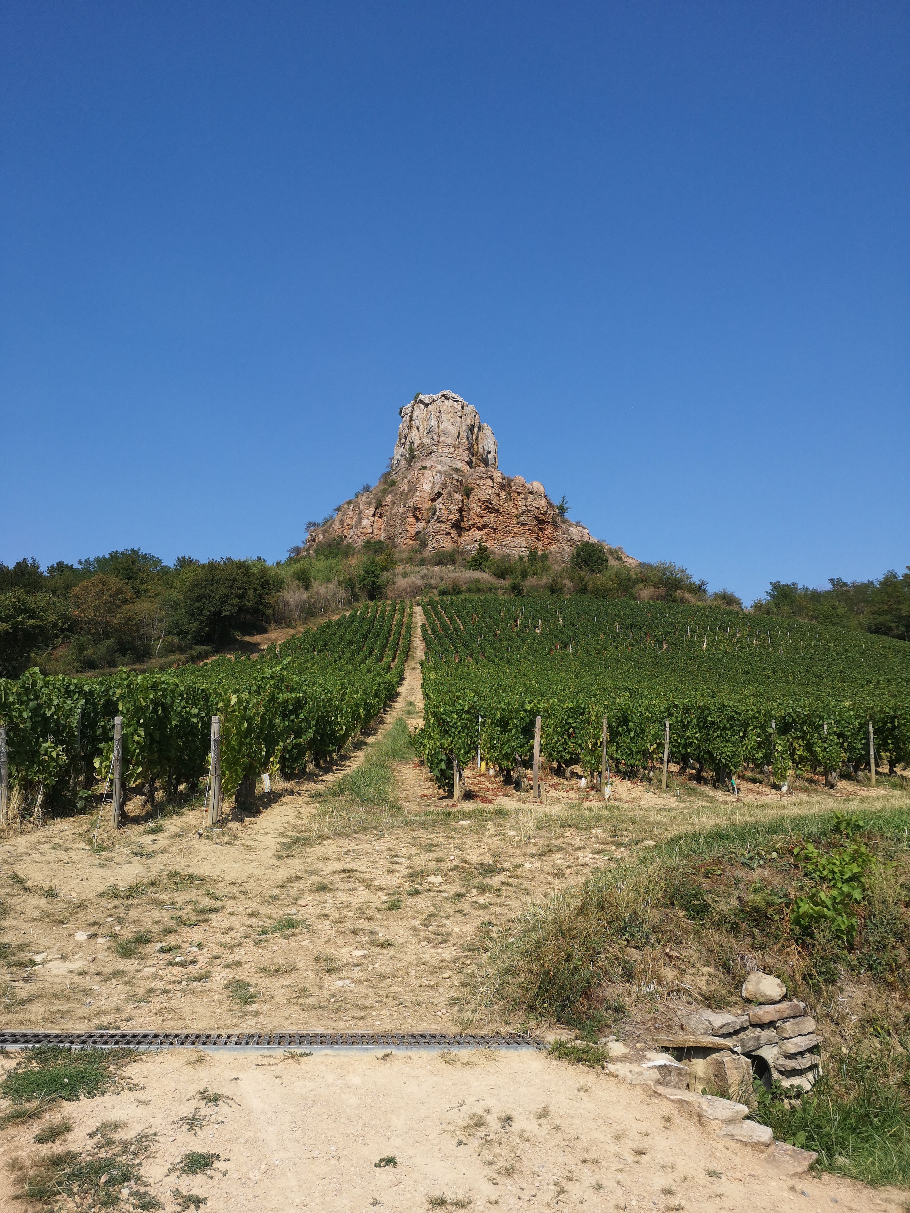 Photo n° 3 de l'avis de Marion.a fait le 28/08/2018 à 07:44