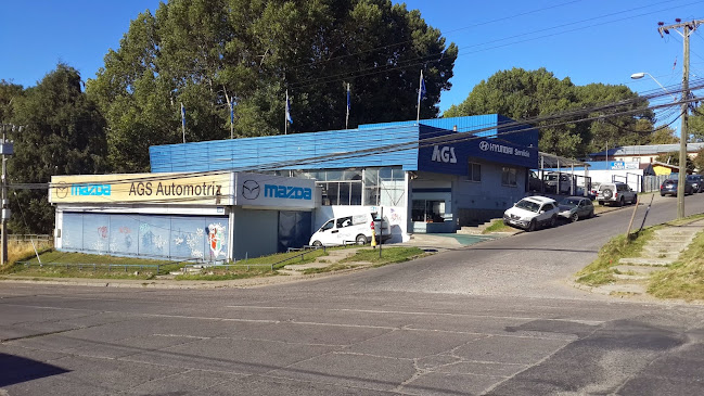Opiniones de AGS Automotriz en Coyhaique - Taller de reparación de automóviles