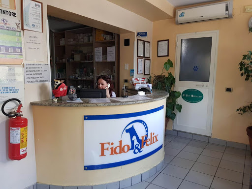 Pensioni per cani e dog hotel a Ospedale Veterinario e albergo Fido & Felix