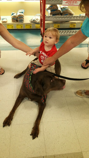 Pet Supply Store «PetSmart», reviews and photos, 1276 Bald Hill Rd, Warwick, RI 02886, USA