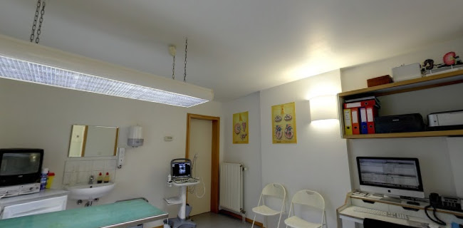 Veterinary Clinic Ben-Ahin CVBA ScPRL - Andenne