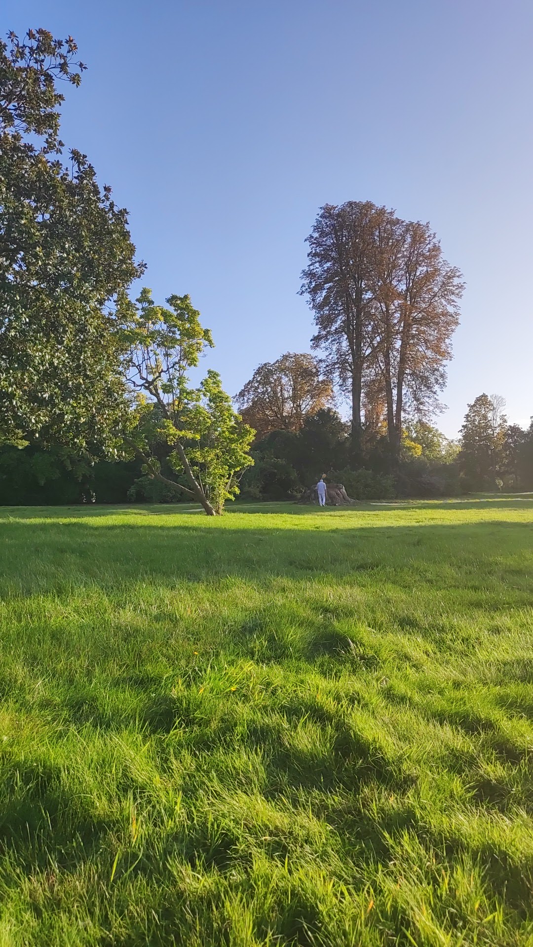 Photo n° 2 de l'avis de youssef.a fait le 30/07/2023 à 12:47