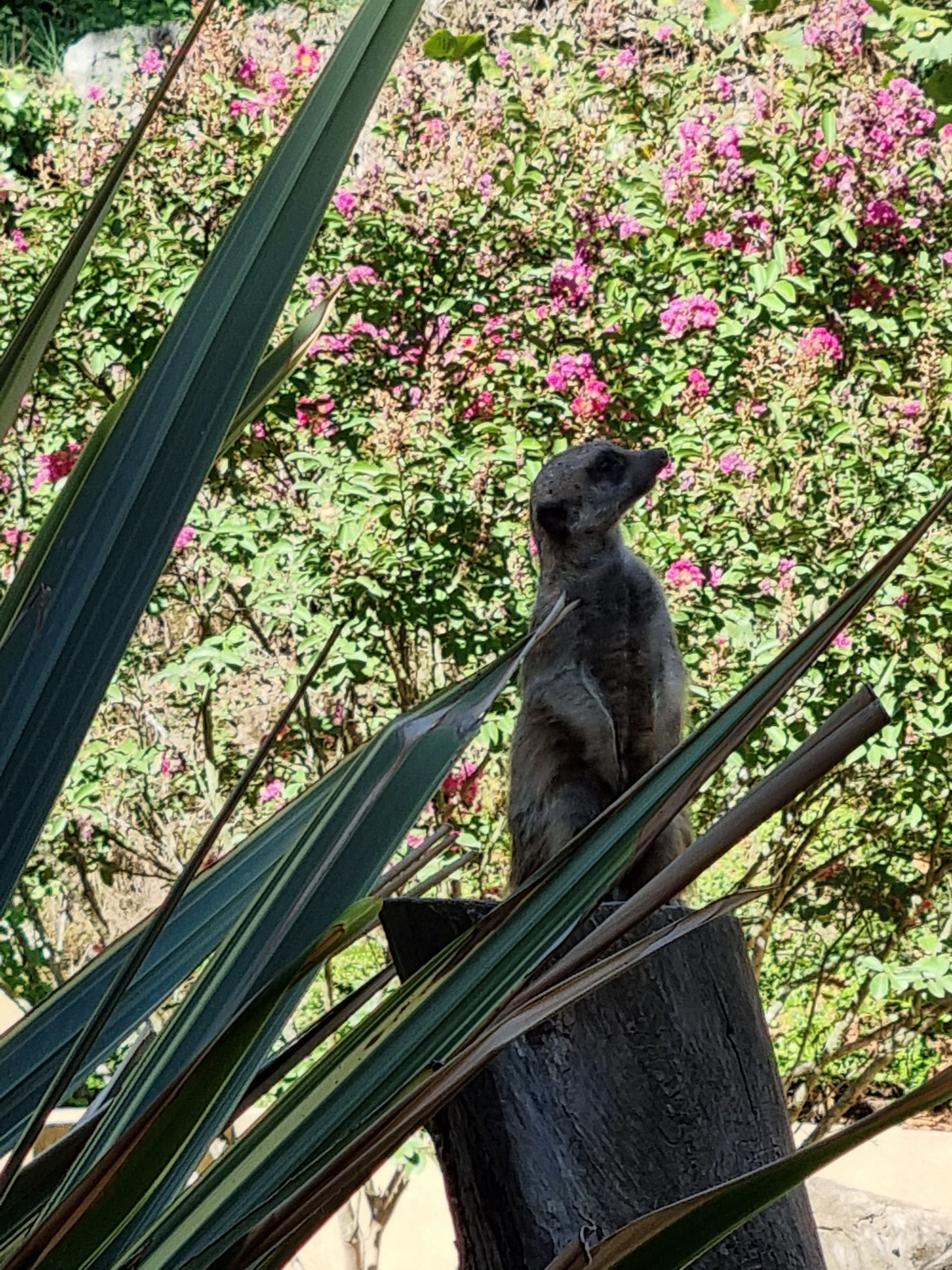 Photo n° 2 de l'avis de alexandre.o fait le 25/08/2022 à 15:51