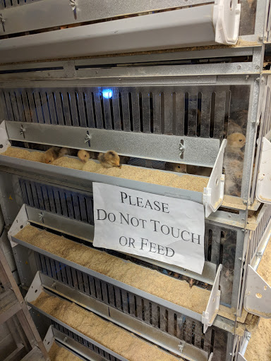 Pet Supply Store «O K Feed & Supply», reviews and photos, 3701 E Fort Lowell Rd, Tucson, AZ 85716, USA