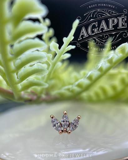 Explore how to get tattoo ideas, creative tattoo ideas in Dover, available at Agap Body Piercings