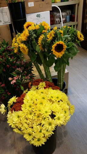 Florist «Fairview Park Florist», reviews and photos, 3141 Fairview Park Dr, Falls Church, VA 22042, USA