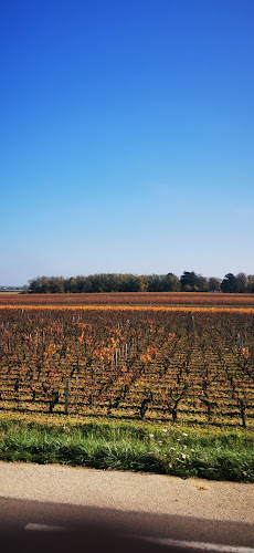 Domaine Viticole Jean Pascal à Puligny-Montrachet