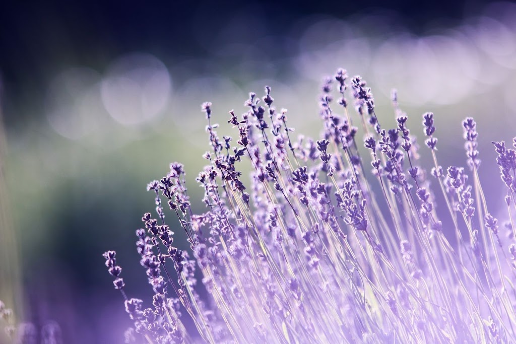 Integrated Holistic Massage 80513