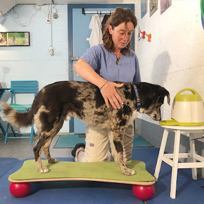 ANIMOVE, Praxis für Tierphysiotherapie & Tierosteopathie