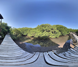 Mangrove Denpasar, Last Point photo