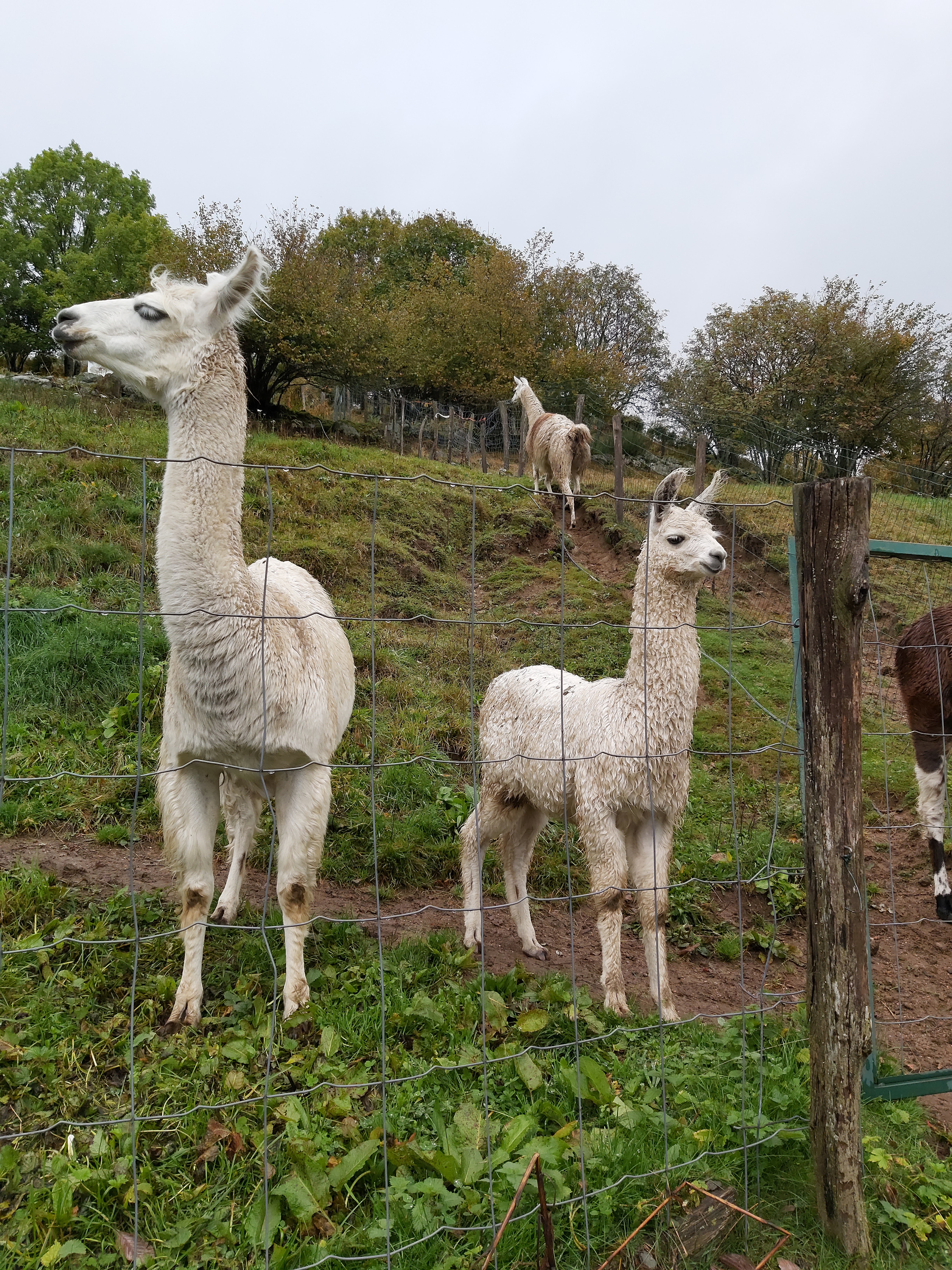 Photo n° 4 de l'avis de Mo.a fait le 06/10/2019 à 15:33