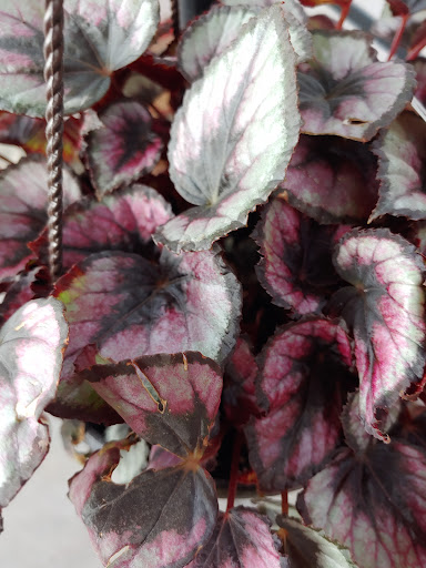 Home Improvement Store «The Home Depot», reviews and photos, 4121 U.S. 78, Lilburn, GA 30047, USA