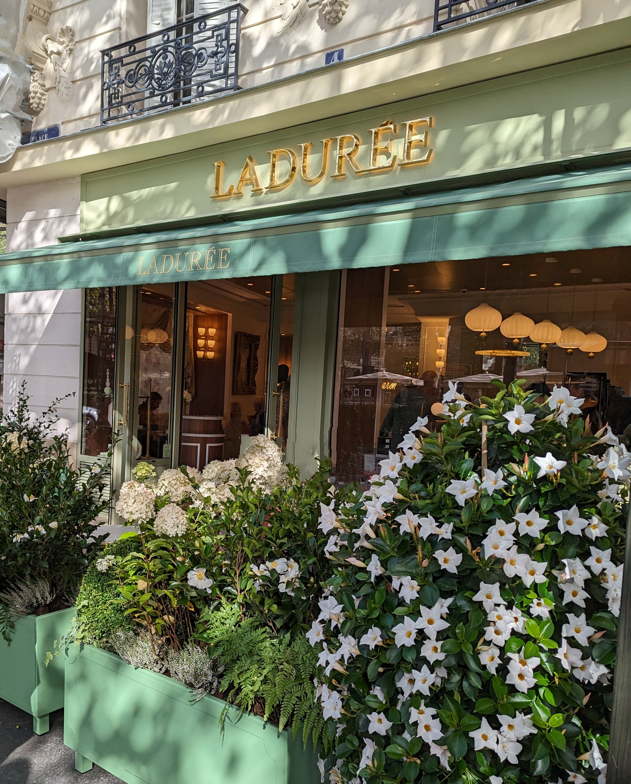 Photo n° 1 de l'avis de Raphaelle.e fait le 16/10/2023 à 10:26