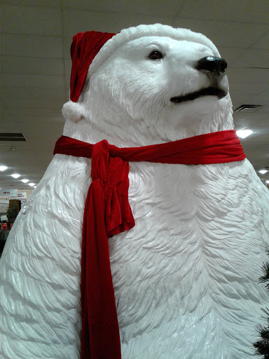 Department Store «T.J. Maxx & HomeGoods», reviews and photos, 111 Taunton St, Plainville, MA 02762, USA