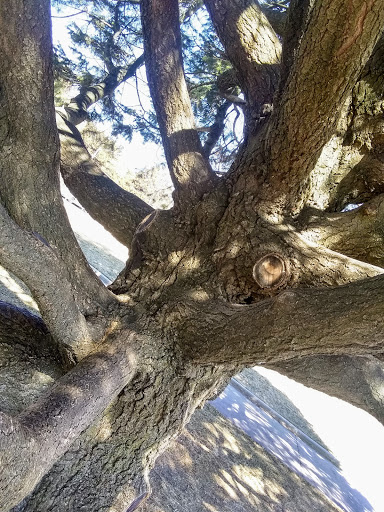 Public Golf Course «Elmwood 18 Hole Golf Course», reviews and photos, 6232 Pacific St, Omaha, NE 68106, USA