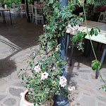 Photo n°1 de l'avis de mario.a fait le 15/07/2023 à 05:54 sur le  Ristorante Saccargia à Codrongianos