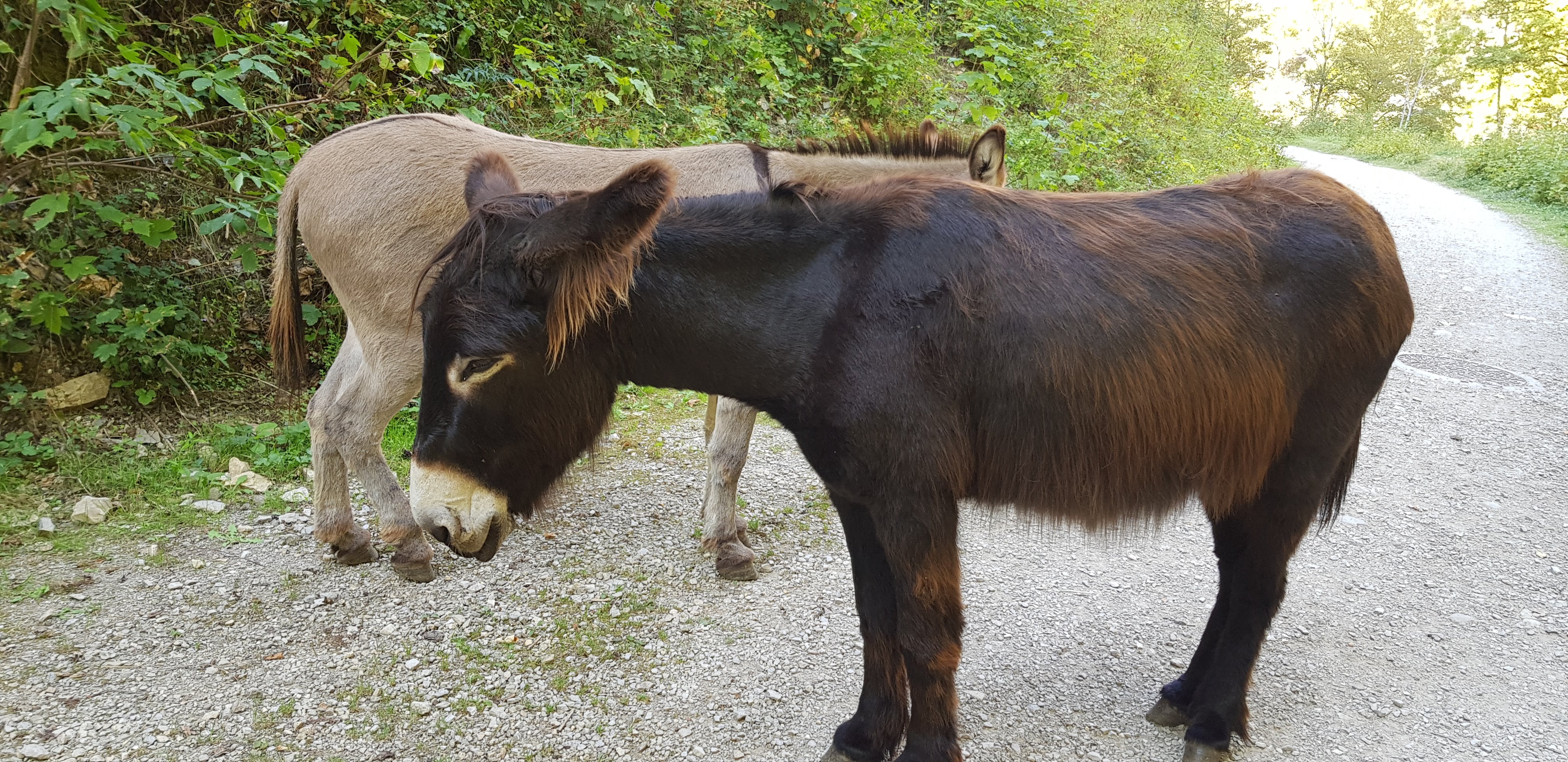 Photo n° 6 de l'avis de Edith.e fait le 18/09/2020 à 16:48