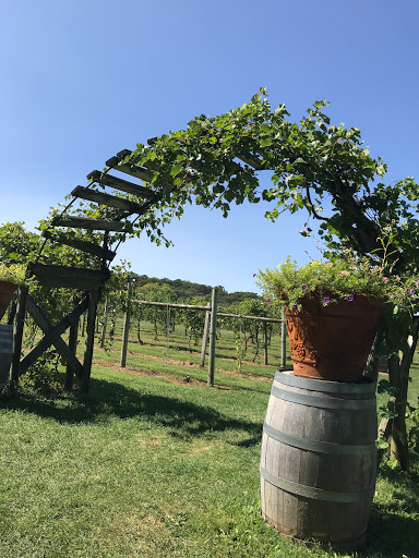 Winery «Galena Cellars Vineyard», reviews and photos, 4746 N Ford Rd, Galena, IL 61036, USA