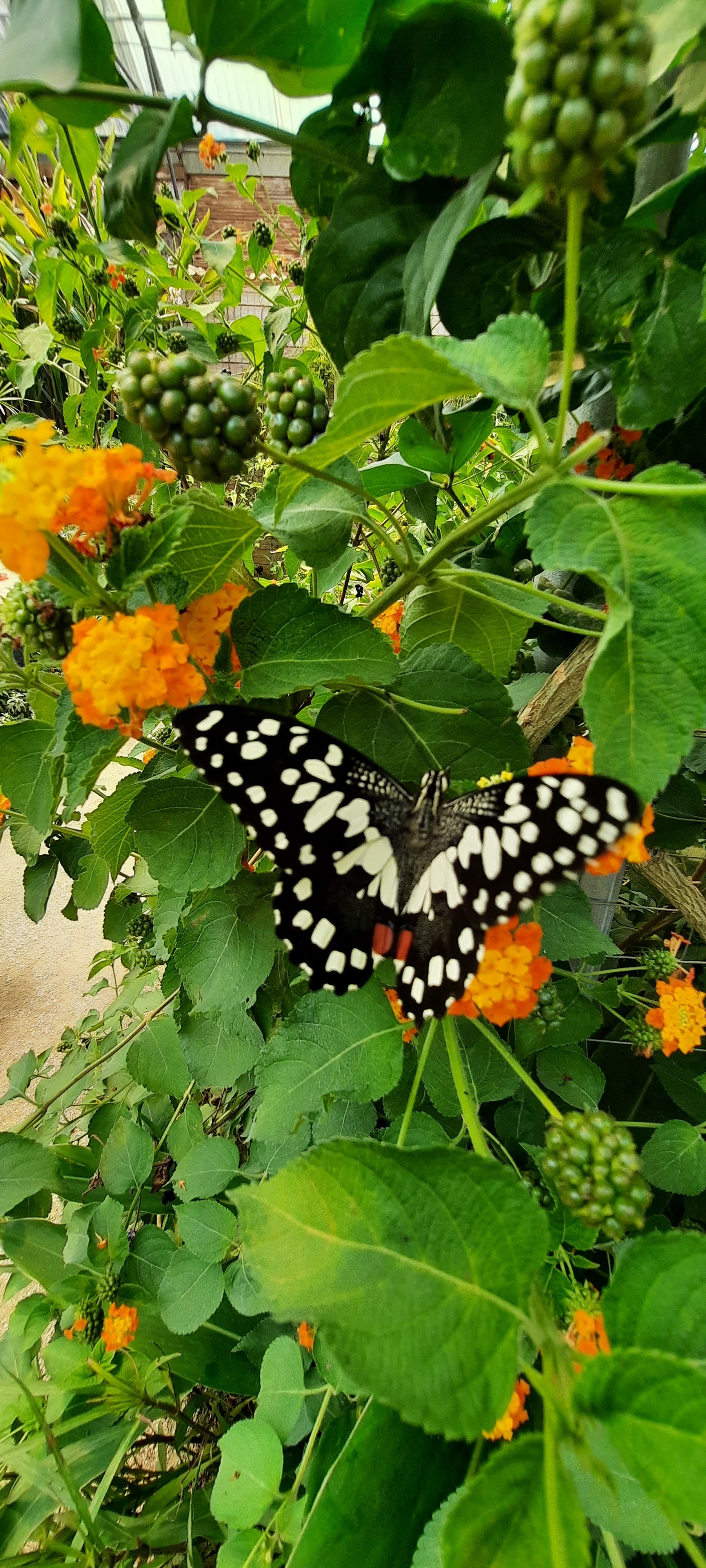 Photo n° 42 de l'avis de Follow.e fait le 28/07/2021 à 17:27