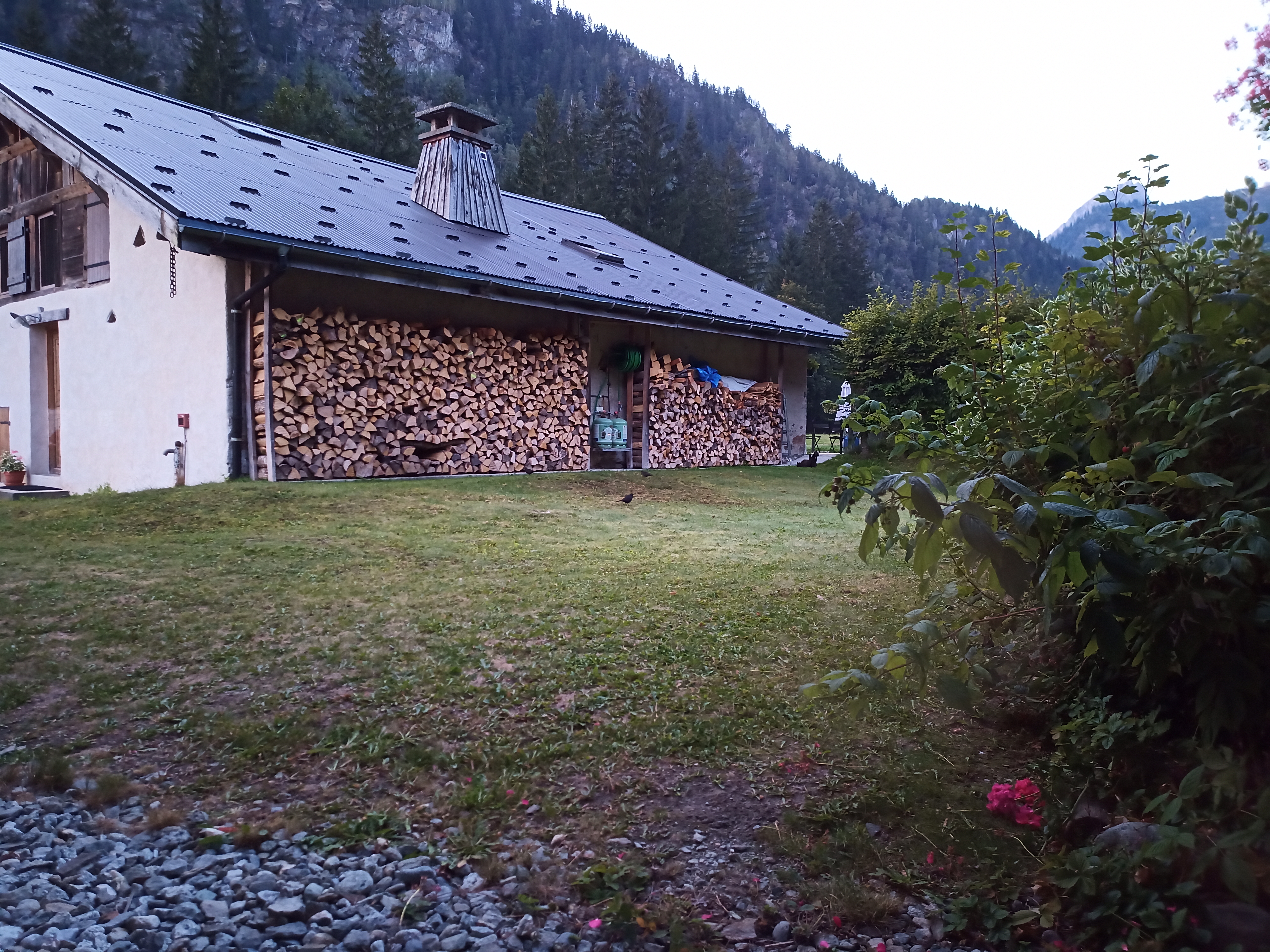 Photo n° 1 de l'avis de A..o fait le 22/09/2019 à 07:03
