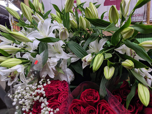 Grocery Store «Food Universe Marketplace», reviews and photos, 97 Avenue O, Brooklyn, NY 11204, USA