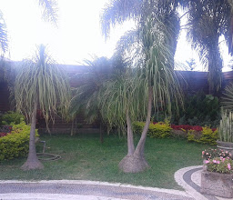 BIRRIERIA ACATLAN photo