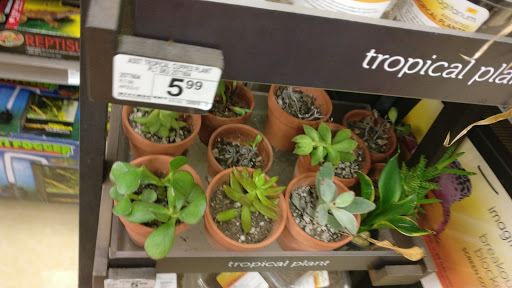 Pet Supply Store «Petco Animal Supplies», reviews and photos, 175 Grandview Blvd #600, Madison, MS 39110, USA