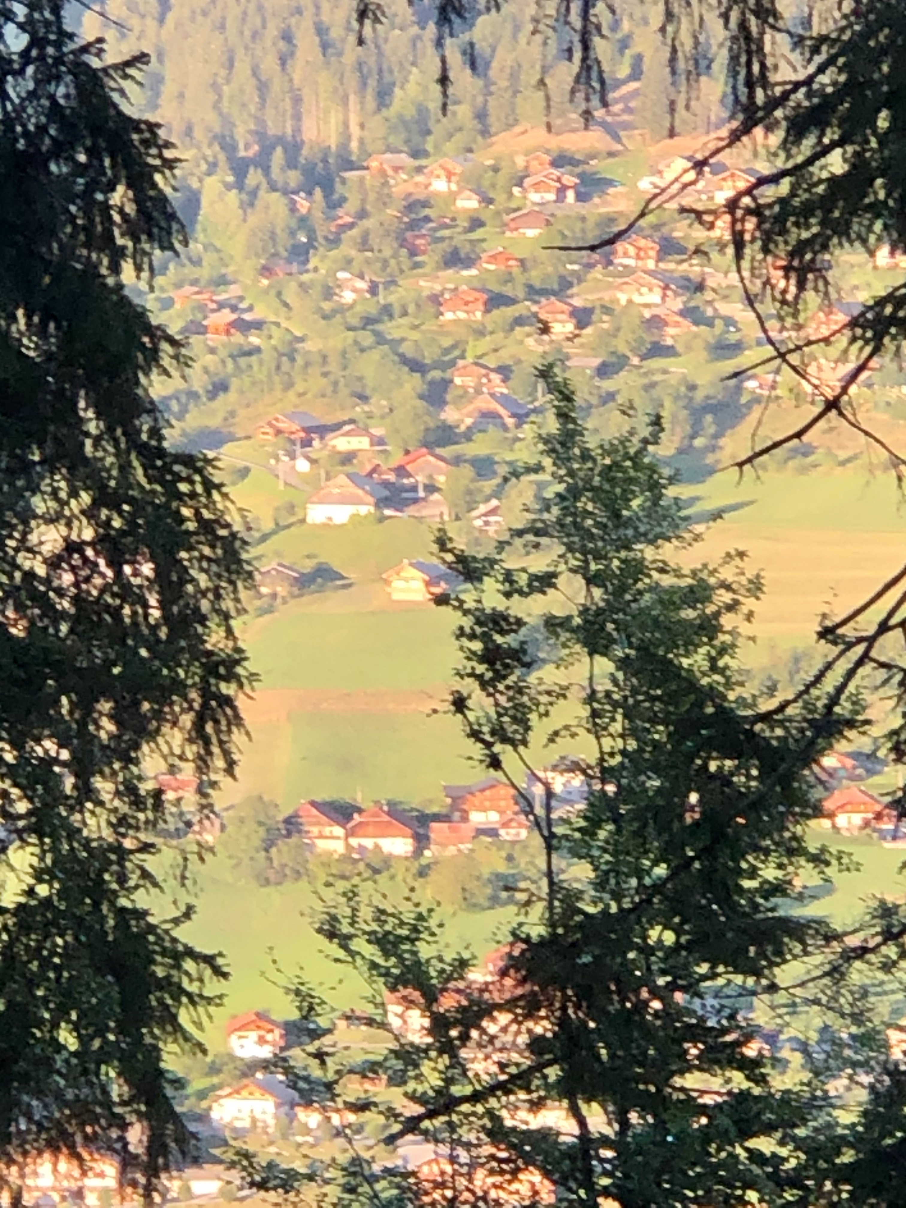 Photo n° 6 de l'avis de Sophie.b fait le 29/11/2021 à 19:01