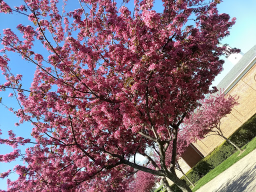 National Park «George Rogers Clark National Historical Park», reviews and photos, 401 S 2nd St, Vincennes, IN 47591, USA