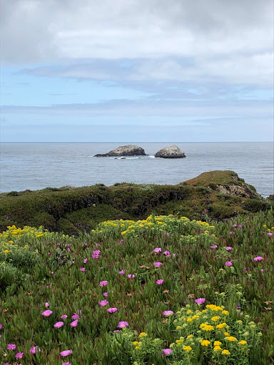 Park «Christopher Morley Park», reviews and photos, 500 Searingtown Rd N, Roslyn, NY 11576, USA