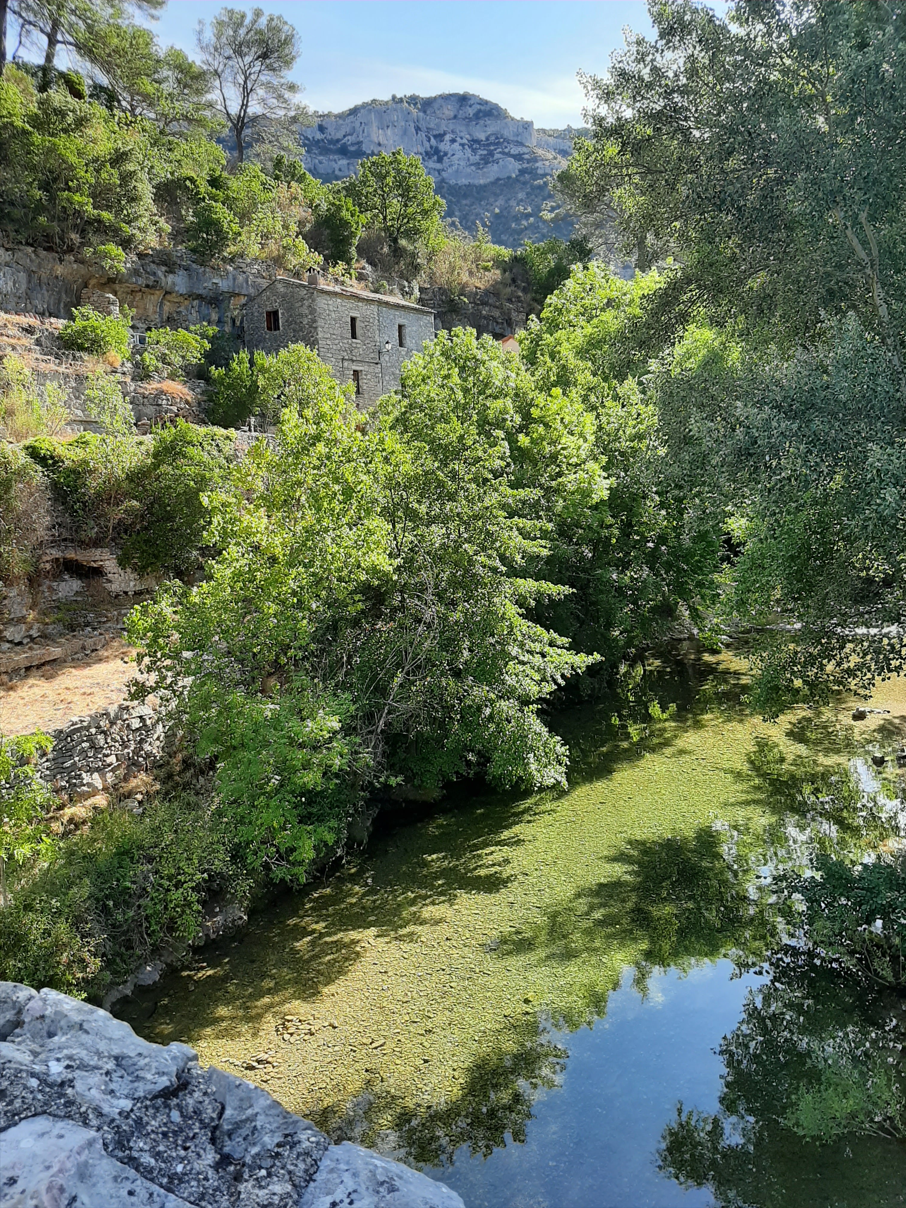 Photo n° 9 de l'avis de Céline.u fait le 17/08/2020 à 17:09