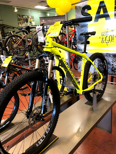 Treads Bicycle Outfitters, 10831 S Crossroads Dr, Parker, CO 80134, USA, 