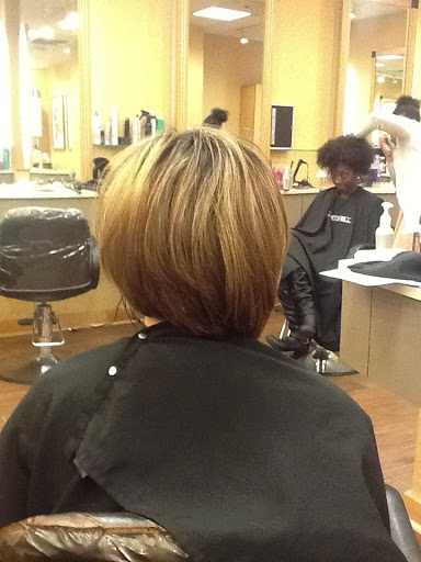 Hair Salon «Regis Salon», reviews and photos, 300 Monticello Ave #295, Norfolk, VA 23510, USA