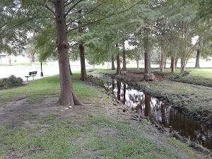 Sue Haswell Park - photo 81