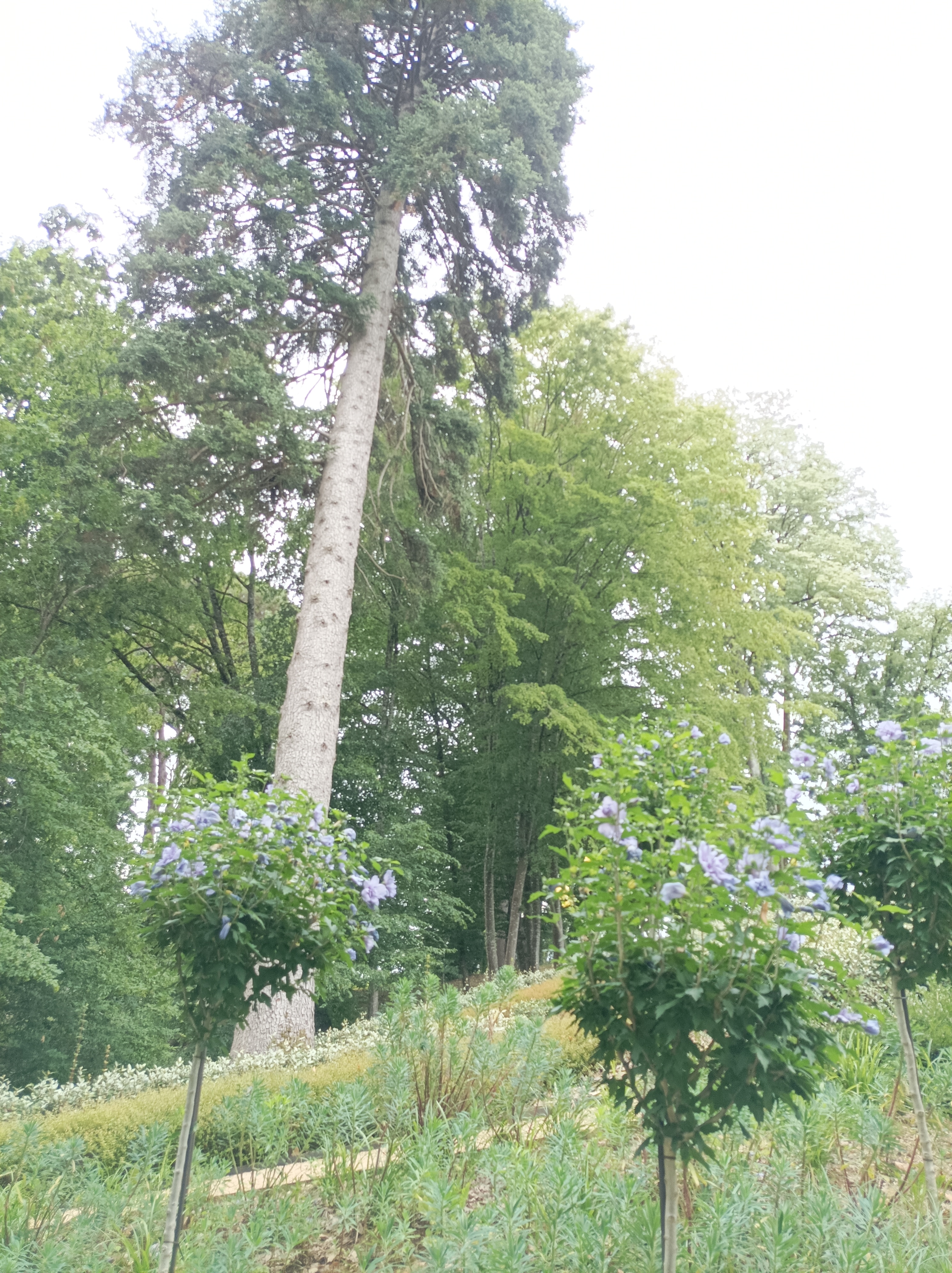 Photo n° 16 de l'avis de Alain.a fait le 23/07/2023 à 17:46