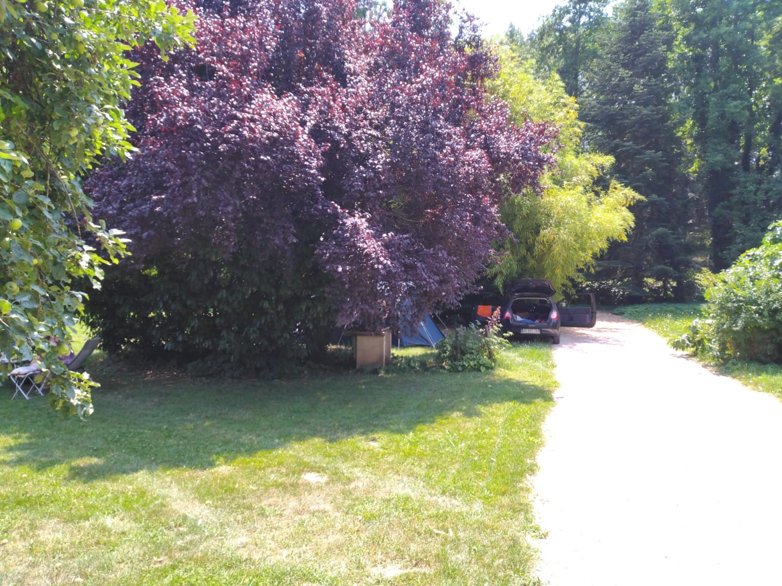 Photo n° 2 de l'avis de Simone.o fait le 11/07/2023 à 19:33