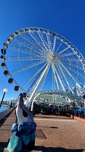 Tourist Attraction «Gum Wall», reviews and photos, 1428 Post Alley, Seattle, WA 98101, USA