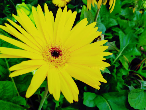 Home Improvement Store «The Home Depot», reviews and photos, 701 Nassau Park Blvd, Princeton, NJ 08540, USA