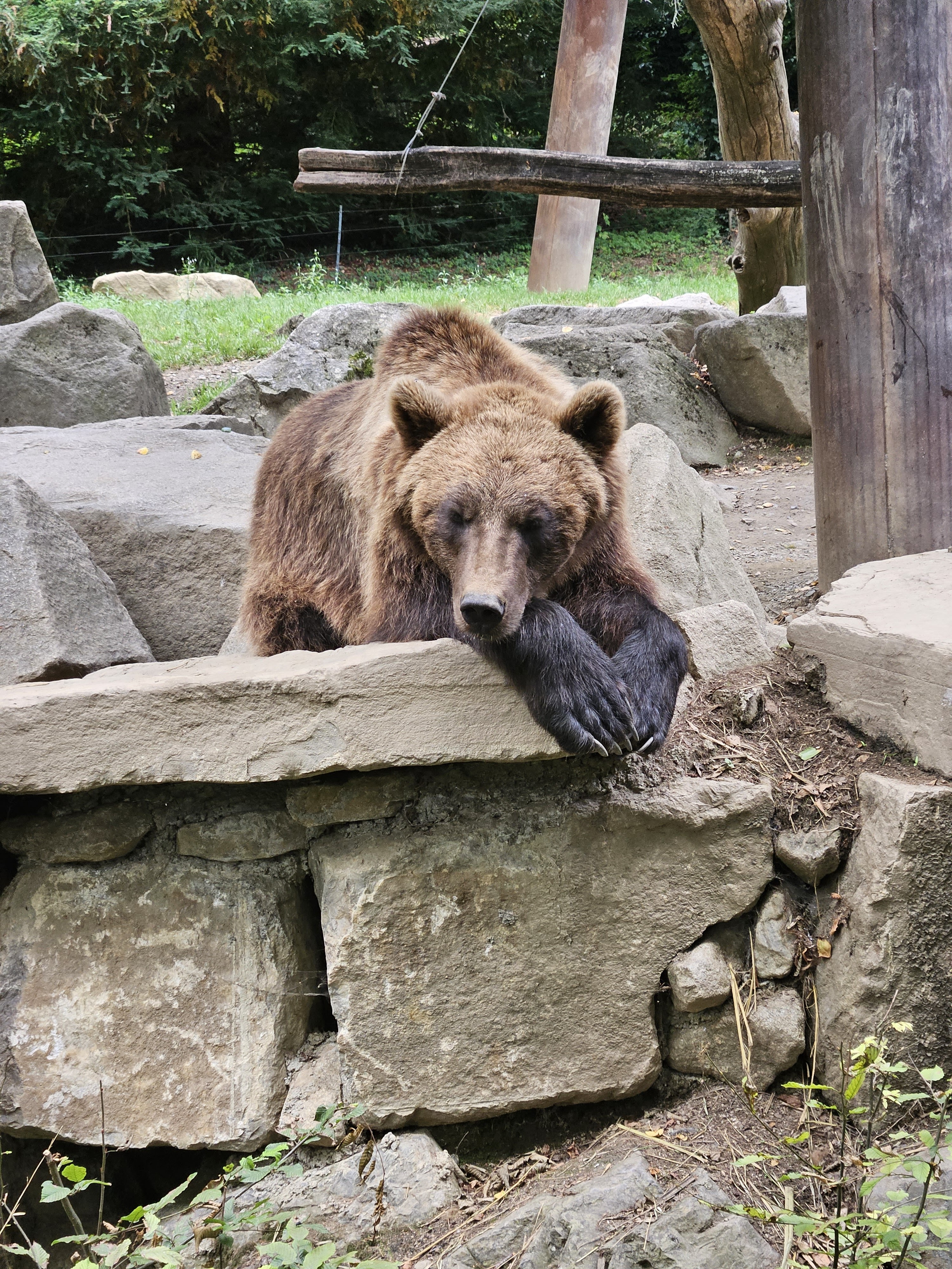 Photo n° 1 de l'avis de Vincent.O fait le 15/07/2023 à 11:49