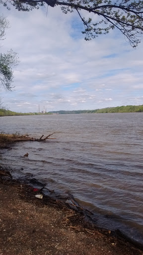 Dollar Store «FAMILY DOLLAR», reviews and photos, 511 Green Blvd, Aurora, IN 47001, USA