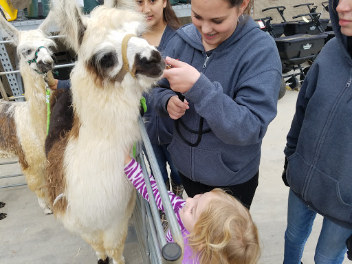 Home Improvement Store «Tractor Supply Co.», reviews and photos, 5705 Mt Olive Rd, Adkins, TX 78101, USA