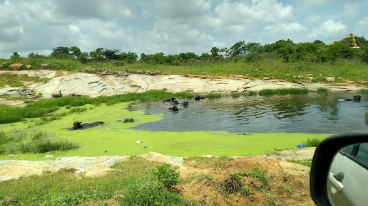 Google Maps image 32