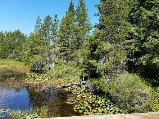 Golf Club «Trophy Lake Golf & Casting Club», reviews and photos, 3900 SW Lake Flora Rd, Port Orchard, WA 98367, USA